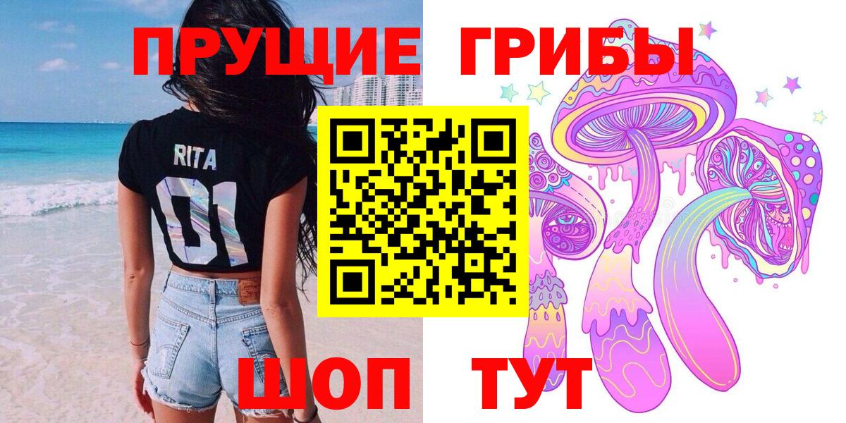 Псилоцибиновые грибы Psilocybe Орск