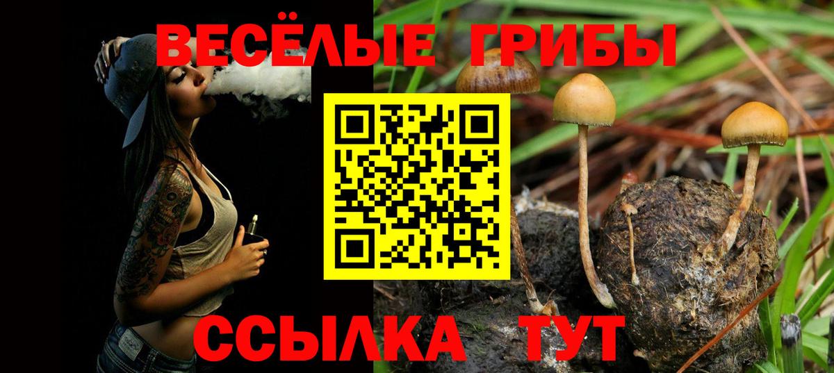 Псилоцибиновые грибы ЛСД  Вход с VPN  Орск 